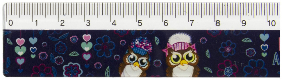 Лінійка пластикова 15 см Kite K19-090-3  Owls