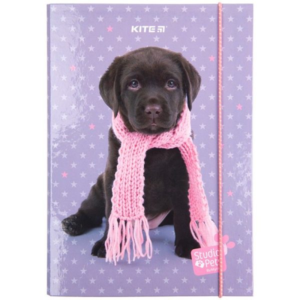 Папка для зошитів В5 на гумці картон, Kite SP