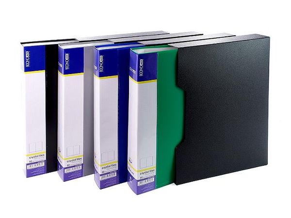 Папка А4 з 100 файлами Economix E30610, асорті