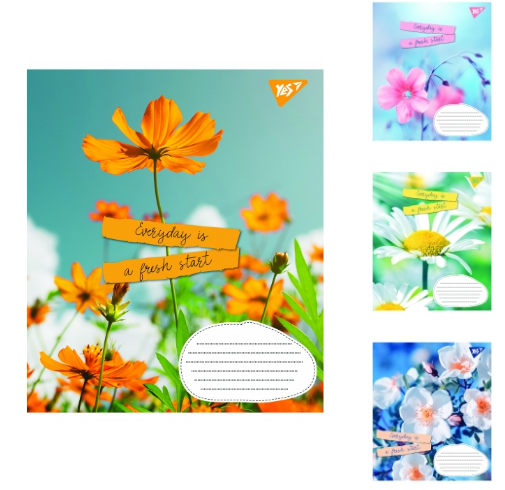 Зошит 60арк клітинка 1Вересня 766064 Summer flowers