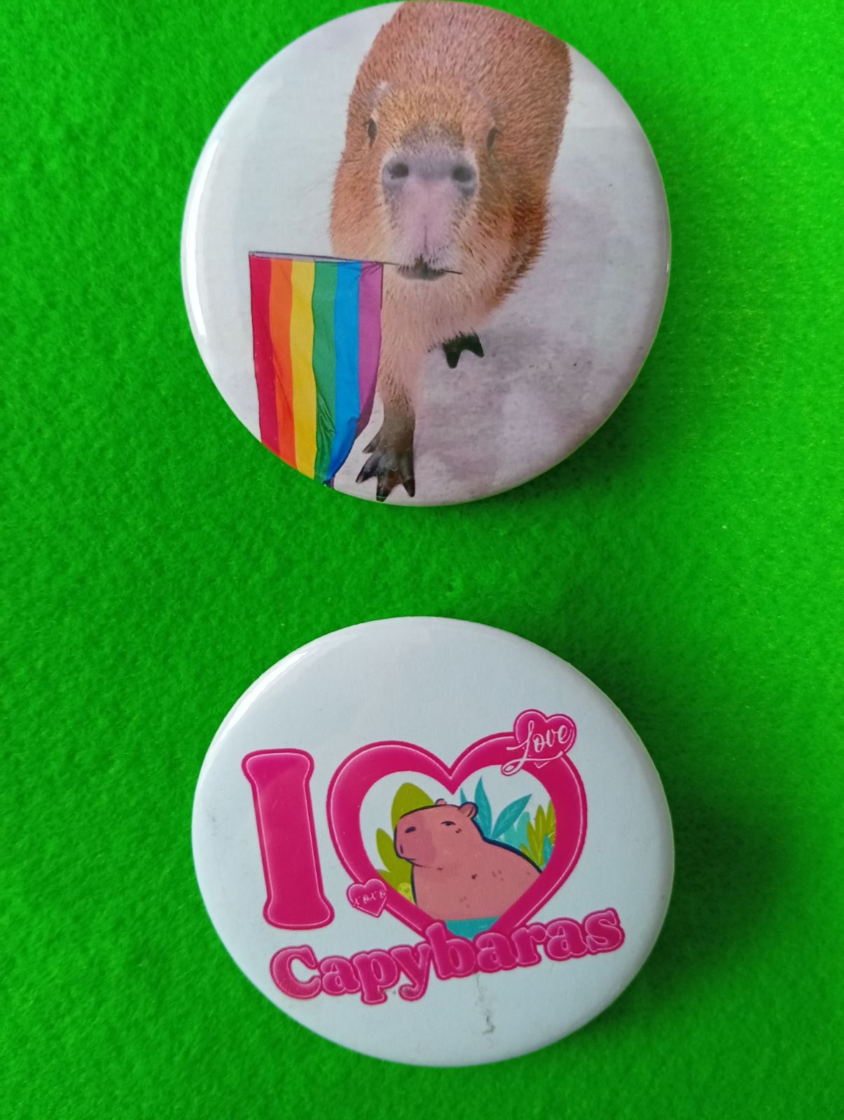 Значок Капібара 58мм