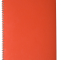 Зошит на пружині "GLOSS" А4, 80арк.,кл., пластик.обкл., червоний BM.24452151-05