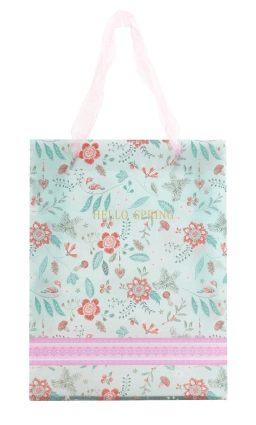 Пакет пластиковий подарунковий 25х19см, Hello Spring 01 8503-05-A