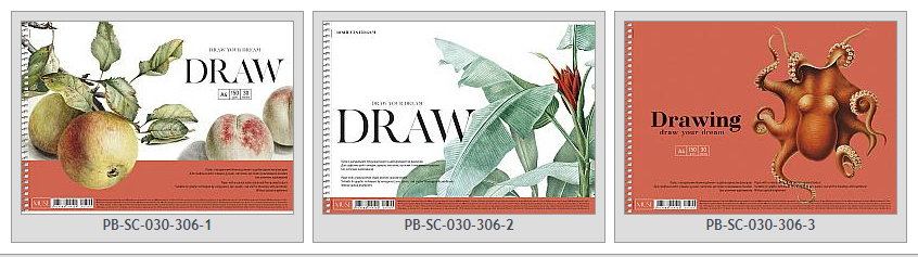 Зошит для малювання 30арк склейка Школярик Star PB-SC-030-306 альбом