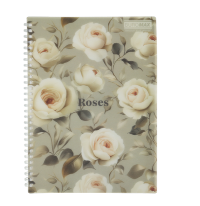 Зошит для записів ARABESKI, B5, 80 арк., клітинка, пластикова обкладинка, світло-сірий BM.2586-20