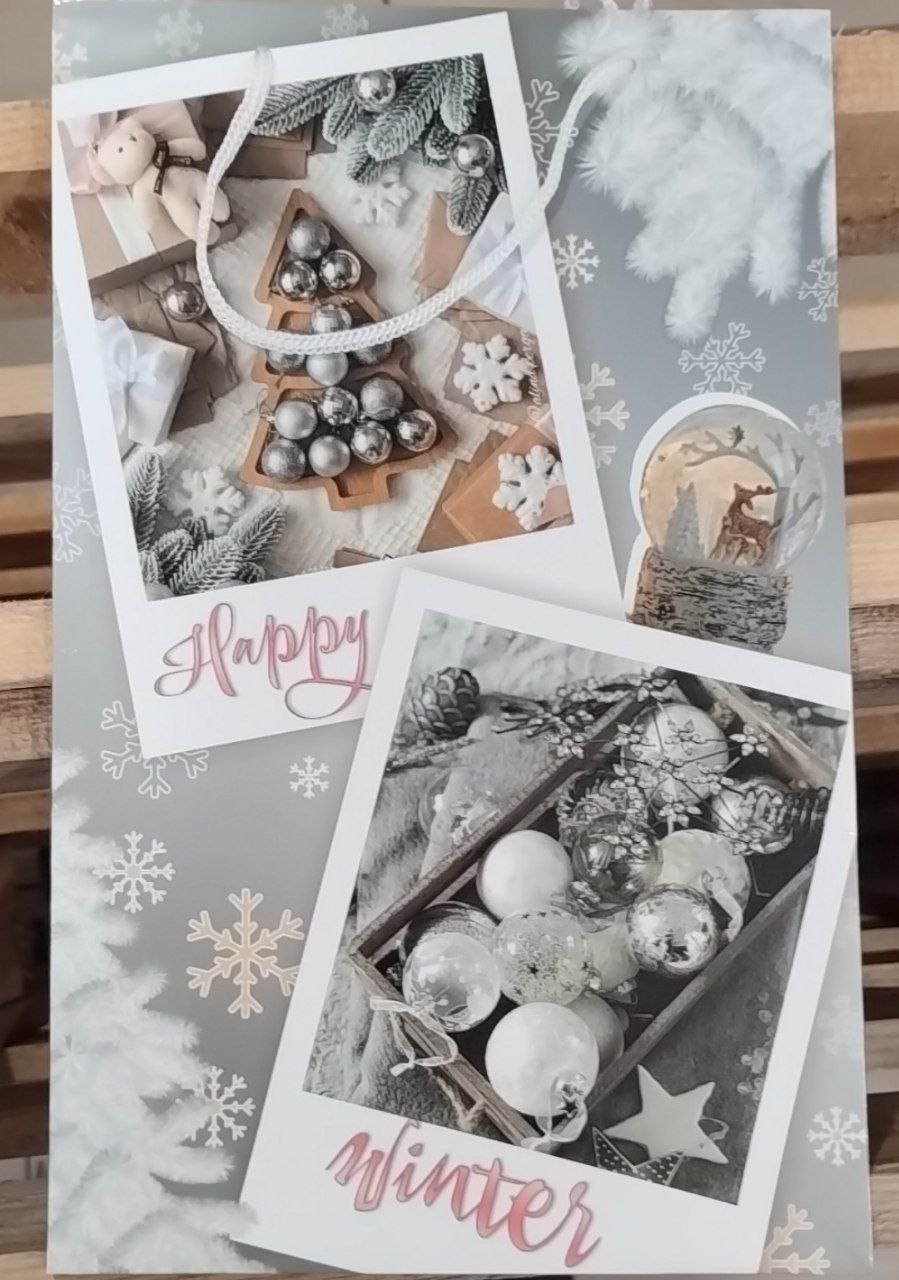 Пакет новорічний ламінований подарунковий (272*171*60) - 34.160