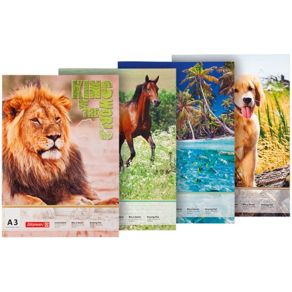 Зошит для малювання А3 20арк  Brunnen клеєний Коні 100/м2 1047913     вльбом