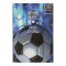 Папка для праці FOOTBALL, картонна, на гумках А4+ (300х212х28мм), KIDS Line ZB.14914