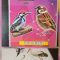 Картки Домана Птахи   А6, 15 аркушів, арт. 101001