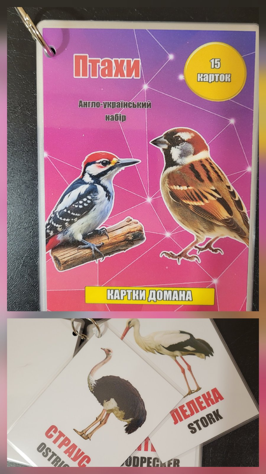 Картки Домана Птахи   А6, 15 аркушів, арт. 101001