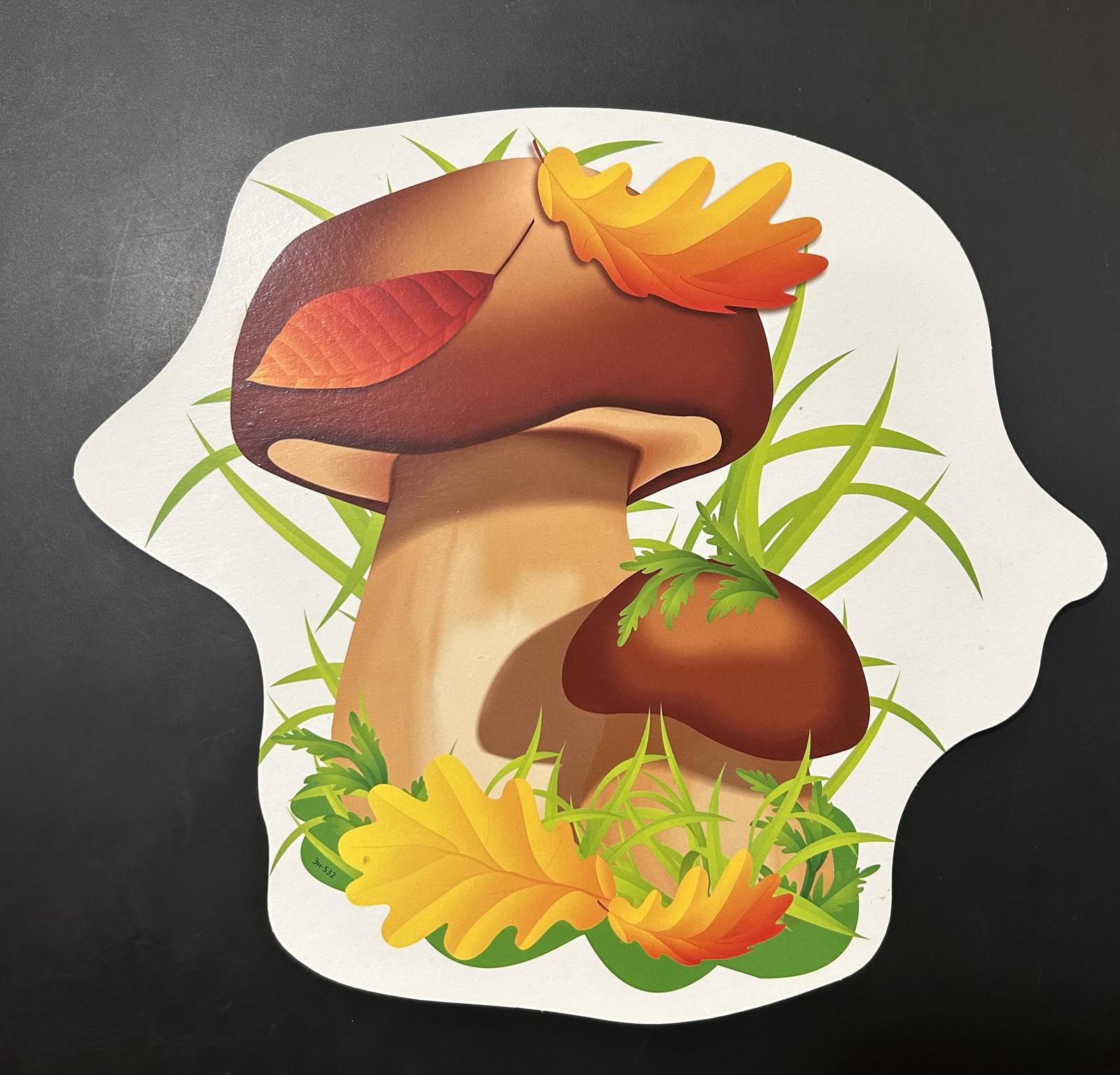 Елемент настінний для школи "Гриби"  великий