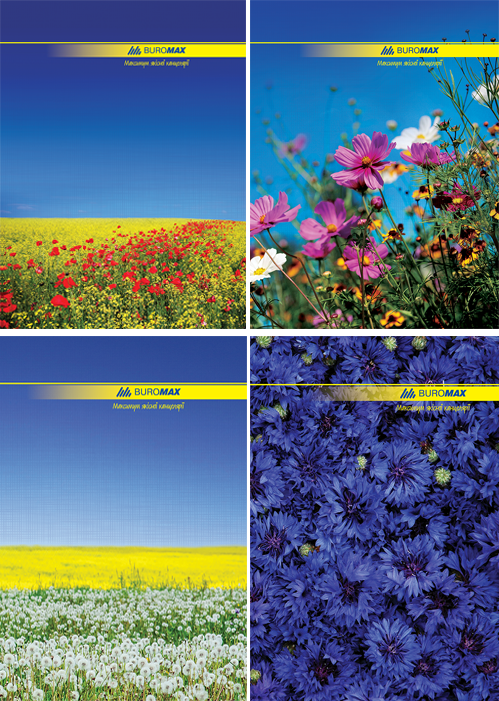 Книга обліку 96 арк, клітинка, офсет (тверда ламінована обладинка), А4 BM.2400