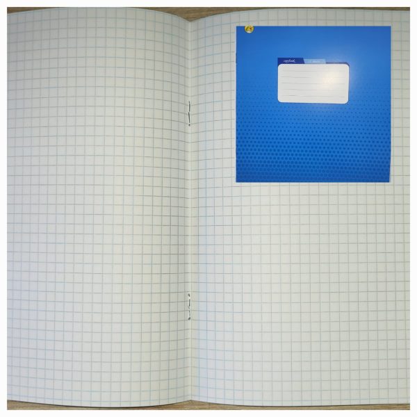 Зошит 12 арк клітинка  Фон 490015