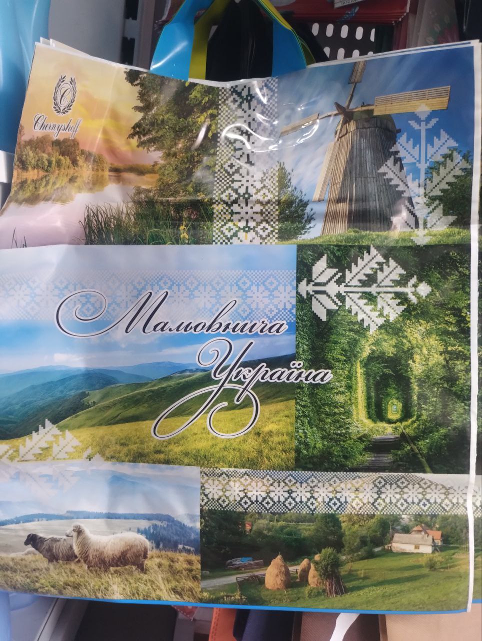 Пакет поліетиленовий з петлевою ручкою 40*40 Карпати 87199