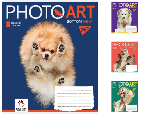 Зошит А5 48арк клітинка YES Photoart