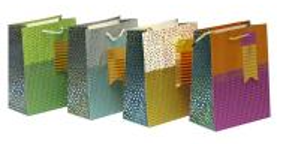 Пакет картонний 210 гр, з фольгою 18*23*10cм 937S