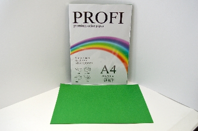 Папір кольоровий PROFI А4/80г (1арк) Light Green №190 (зелений)