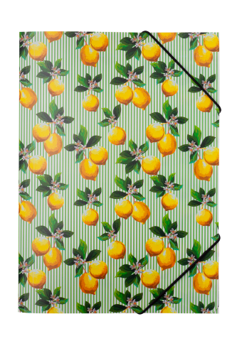 Папка на гумці, A4, LEMONS, салатова