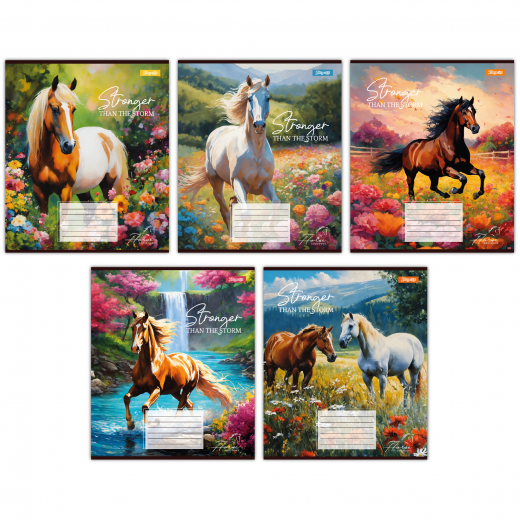 Зошит 12арк клітинка 1Вересня 767191 Stronger than the storm