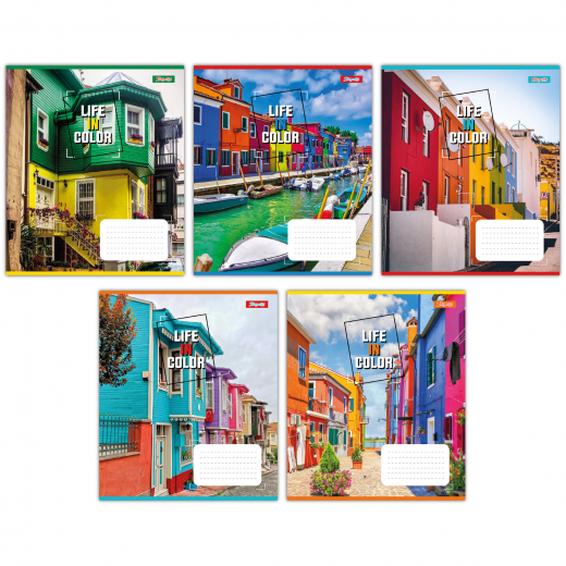 Зошит 48арк клітинка 1Вересня 767361 Life in colors