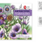 Розмальовка  SANTI антистрес "Квітотерапія", 20 стор.