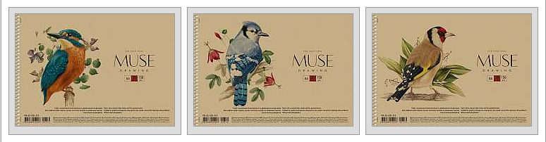 Зошит для малювання  30арк на склейк Школярик Star PB-SC-030-310  альбом