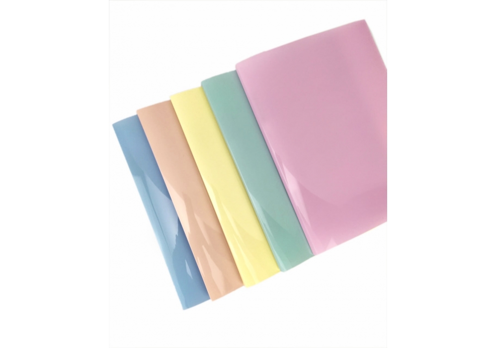 Папка пластикова А4 Optima на 2 кільця, глянець, пастельне асорті