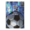 Папка для праці FOOTBALL, картонна, на гумках А4+ (300х212х28мм), KIDS Line ZB.14914