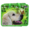 Сумка з ручками на блискавці J.Otten "Лабрадор" 26*32*9см збільшена, S2035