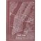 Книга записна А4 Maps New York, 96арк., кліт., рожево-корич. 8422-543-A