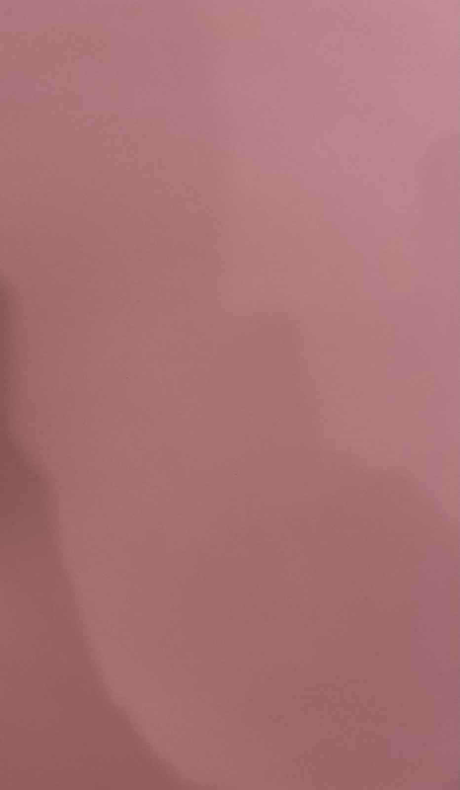 Бумага А3 пл 160 PROFI Light Pink №170 розовый в уп 250л