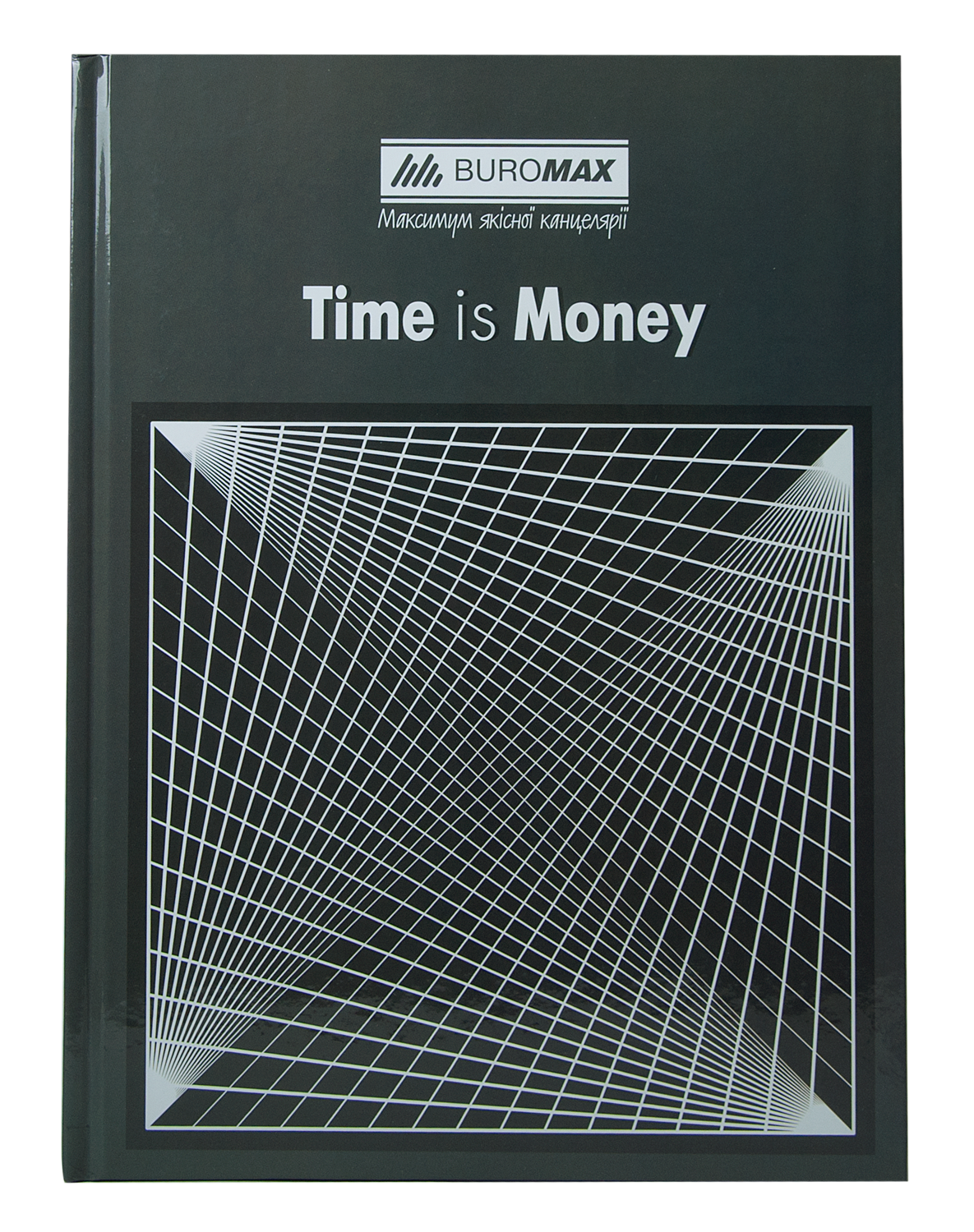 Ділова книга А4 96 аркушів в клітинку Buromax, BM.2400-109
